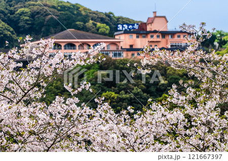 西海橋の桜【長崎県西海市佐世保市】 西海橋の桜【長崎県西海市佐世保市】 121667397