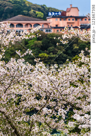 西海橋の桜【長崎県西海市佐世保市】 西海橋の桜【長崎県西海市佐世保市】 121667398