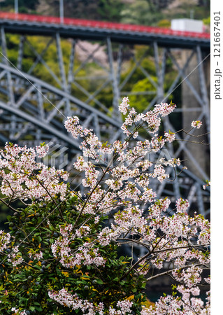 西海橋の桜【長崎県西海市佐世保市】 西海橋の桜【長崎県西海市佐世保市】 121667401