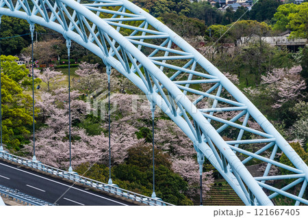 西海橋の桜【長崎県西海市佐世保市】 121667405