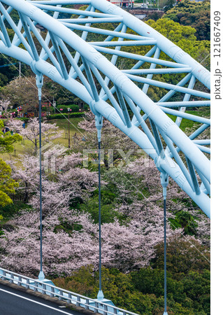 西海橋の桜【長崎県西海市佐世保市】 121667409