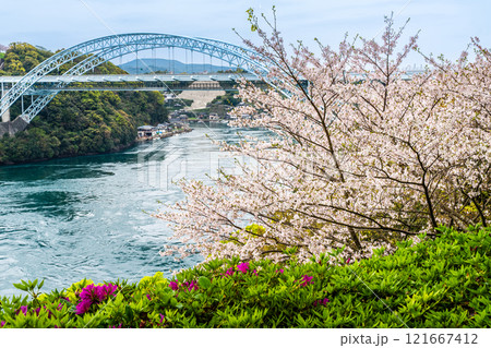 西海橋の桜【長崎県西海市佐世保市】 西海橋の桜【長崎県西海市佐世保市】 121667412
