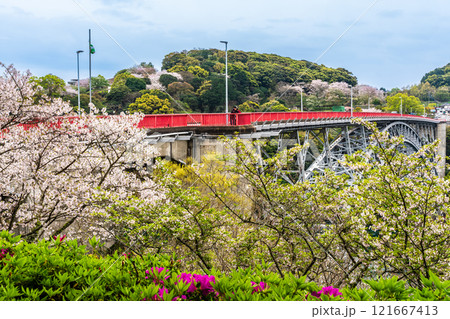 西海橋の桜【長崎県西海市佐世保市】 121667413