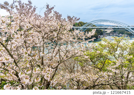西海橋の桜【長崎県西海市佐世保市】 121667415