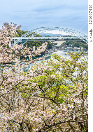 西海橋の桜【長崎県西海市佐世保市】 121667416