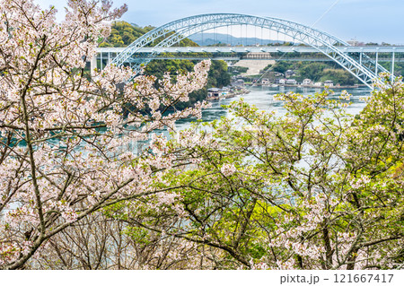 西海橋の桜【長崎県西海市佐世保市】 121667417
