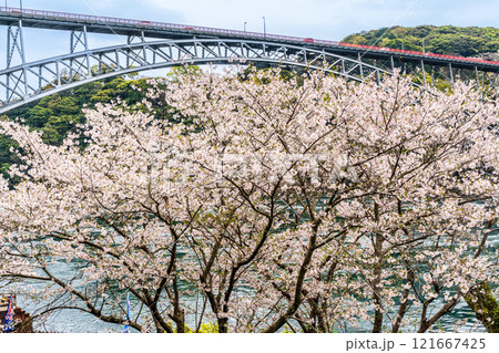 西海橋の桜【長崎県西海市佐世保市】 西海橋の桜【長崎県西海市佐世保市】 121667425