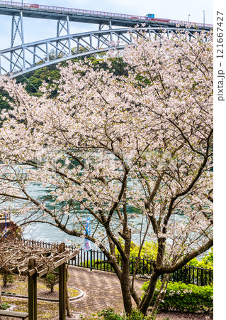 西海橋の桜【長崎県西海市佐世保市】 121667427