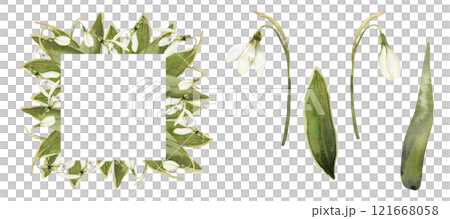 Spring snowdrops watercolor collection with square floral frame and isolated white first flowers. Hand drawn seasonal floral elements for romantic greeting card,mother's,women's day poster design 121668058