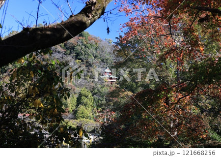 磯山弁財天を望む出流原の弁天池の風景 121668256