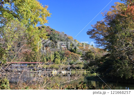 磯山弁財天を望む出流原の弁天池の風景 磯山弁財天を望む出流原の弁天池の風景 121668257