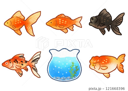 水彩風の金魚のイラストセット 121668396