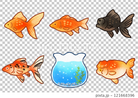 水彩風格金魚插圖集 水彩風格金魚插圖集 121668396