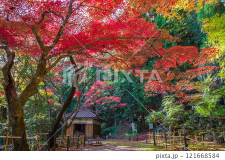 聖宝寺 血のもみじ 庭園 鳴谷山聖宝寺 紅葉の名所 いなべ市 三重県 聖宝寺 血のもみじ 庭園 鳴谷山聖宝寺 紅葉の名所 いなべ市 三重県 121668584