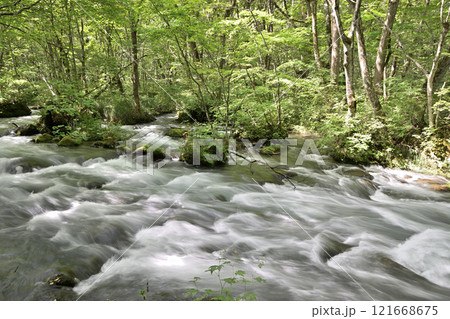青森県奥入瀬渓流の流れ 121668675