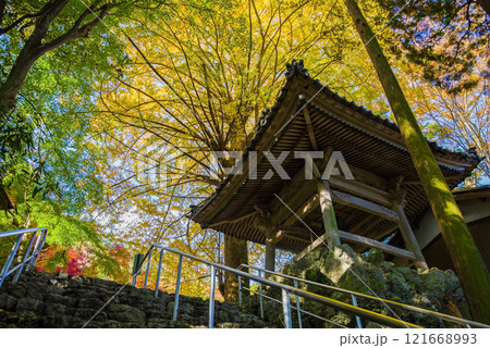 聖宝寺 鐘楼 いちょうの木 鳴谷山聖宝寺 紅葉の名所 いなべ市 三重県 聖宝寺 鐘楼 いちょうの木 鳴谷山聖宝寺 紅葉の名所 いなべ市 三重県 121668993