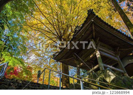 聖宝寺　鐘楼 　いちょうの木　鳴谷山聖宝寺　紅葉の名所　いなべ市　三重県 121668994