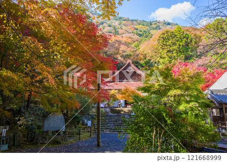 聖宝寺　本堂　鳴谷山聖宝寺　紅葉の名所　いなべ市　三重県 121668999