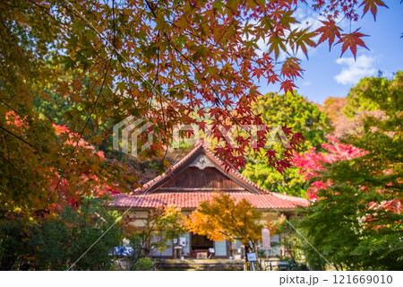聖宝寺　本堂　鳴谷山聖宝寺　紅葉の名所　いなべ市　三重県 121669010