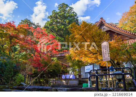 聖宝寺　本堂　鳴谷山聖宝寺　紅葉の名所　いなべ市　三重県 121669014