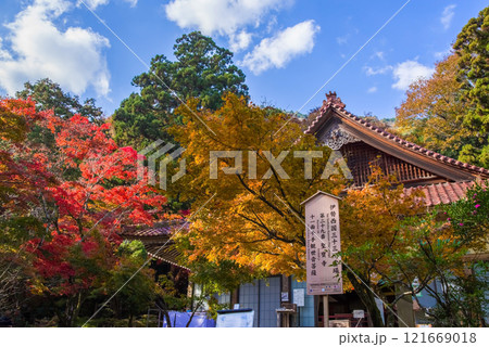 聖宝寺　本堂　鳴谷山聖宝寺　紅葉の名所　いなべ市　三重県 121669018
