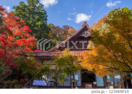 聖宝寺　本堂　鳴谷山聖宝寺　紅葉の名所　いなべ市　三重県 121669019
