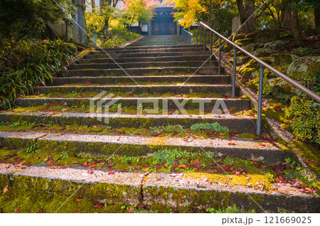 定勝寺山門の紅葉【木曽郡大桑村】 121669025