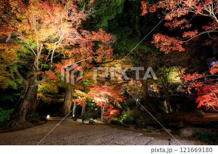 ライトアップされた秋の宝満宮 竈門神社 福岡県太宰府市 ライトアップされた秋の宝満宮 竈門神社 福岡県太宰府市 121669180