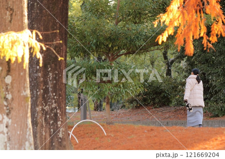 秋の公園を散歩する女性 秋の公園を散歩する女性 121669204