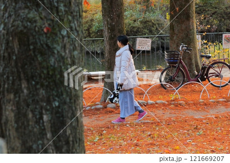 秋の公園を散歩する女性 121669207