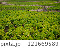 畑　 121669589
