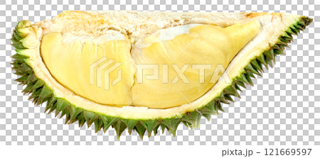 durian fruit isolated 121669597