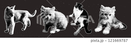 Set of halftone cats. Vector elements in pop art style. Y2k collage design. 121669787