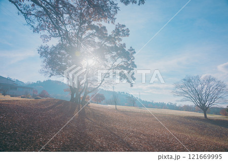 朝の光【あづみの池田クラフトパーク】 121669995