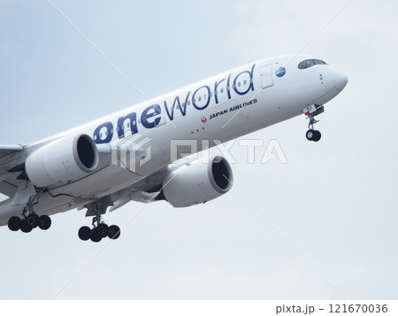 JALのエアバスの頭部 121670036