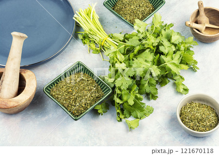 Bundle of cilantro, Coriander leaves. 121670118