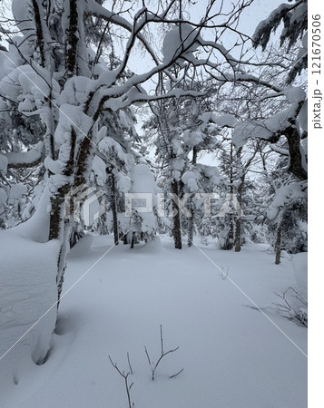 2024年12月の福島県のグランデコスノーリゾートの雪上徒歩ルート 2024年12月の福島県のグランデコスノーリゾートの雪上徒歩ルート 121670506
