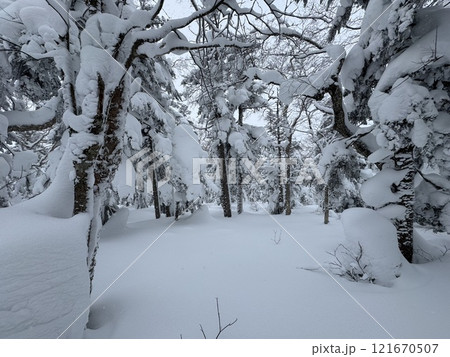 2024年12月の福島県のグランデコスノーリゾートの雪上徒歩ルート 2024年12月の福島県のグランデコスノーリゾートの雪上徒歩ルート 121670507