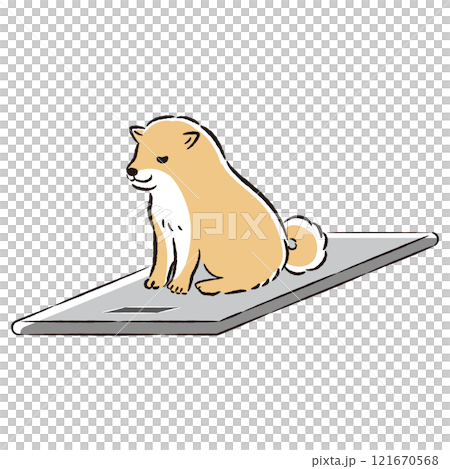 体重計に乗る犬のイラスト 体重計に乗る犬のイラスト 121670568