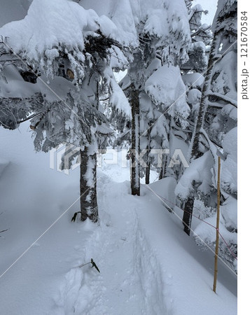 2024年12月の福島県のグランデコスノーリゾートの雪上徒歩ルート 2024年12月の福島県のグランデコスノーリゾートの雪上徒歩ルート 121670584