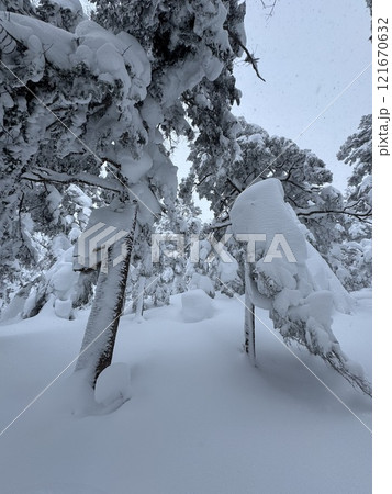 2024年12月の福島県のグランデコスノーリゾートの雪上徒歩ルート 2024年12月の福島県のグランデコスノーリゾートの雪上徒歩ルート 121670632