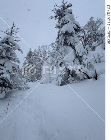 2024年12月の福島県のグランデコスノーリゾートの雪上徒歩ルート 2024年12月の福島県のグランデコスノーリゾートの雪上徒歩ルート 121670723