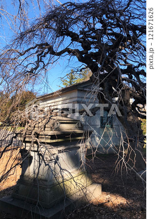 Old stone crypt, tombstones and graves in the cemetery, gravestone and tree 121671626