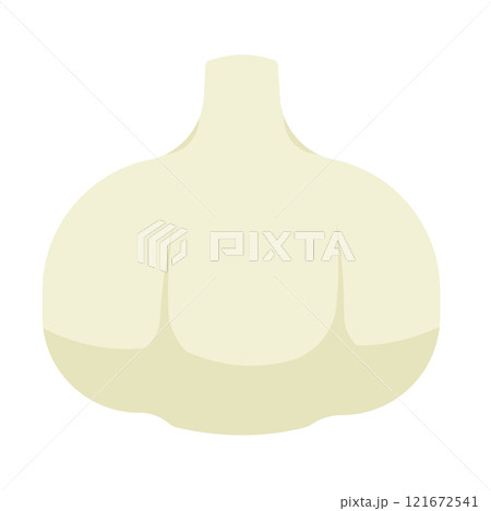 ニンニクのイラスト ニンニクのイラスト 121672541