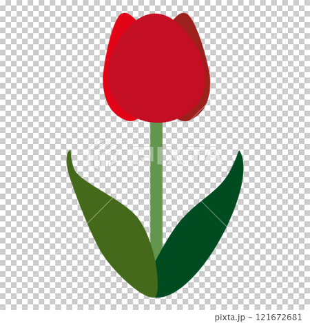 單一紅色鬱金香的簡單平面插圖，白色背景 121672681