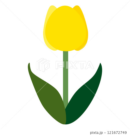 シンプルでフラットな一輪の黄色いチューリップのイラスト 白バック シンプルでフラットな一輪の黄色いチューリップのイラスト 白バック 121672749