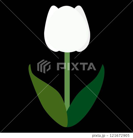 シンプルでフラットな一輪の白いチューリップのイラスト 黒バック シンプルでフラットな一輪の白いチューリップのイラスト 黒バック 121672905