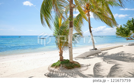 Alona Beach with coconut palm trees on Bohol Panglao Island, Philippines. 121673759
