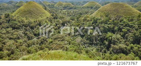 Chocolate Hills, a famous tourist attraction of Bohol Island, Philippines. Chocolate Hills, a famous tourist attraction of Bohol Island, Philippines. 121673767