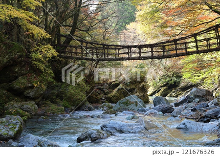 奥祖谷二重かずら橋（女橋<先に男橋>） ／ 四国八十八景【徳島県三好市東祖菅生】 121676326